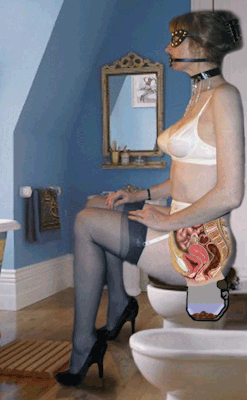 cherche_scat